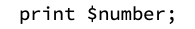 The print variable in PHP.